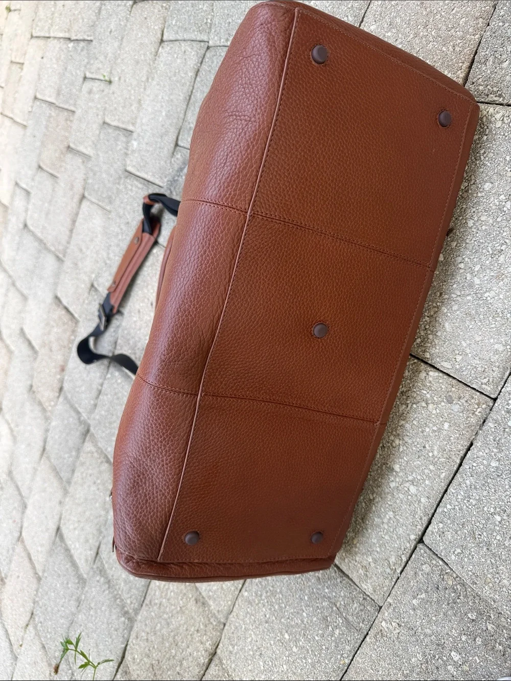 Cole Haan premium cognac